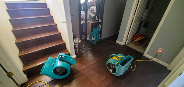 Best Local water damage restoration  in Somersworth, NH