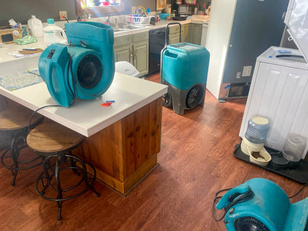 Best Mold removal after water damage  in Somersworth, NH
