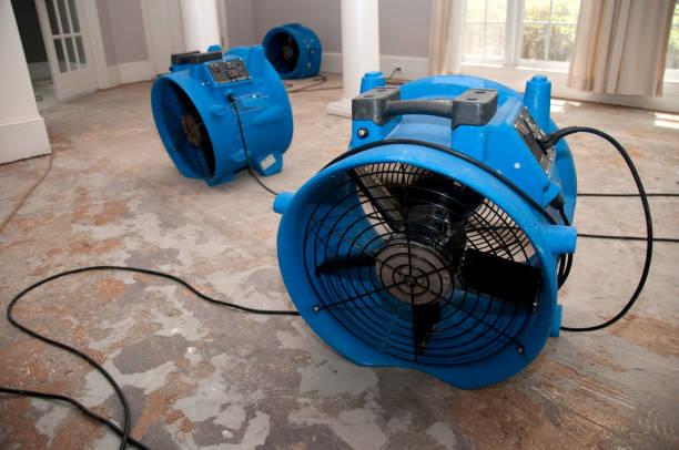 Best 24-hour water damage restoration  in Somersworth, NH