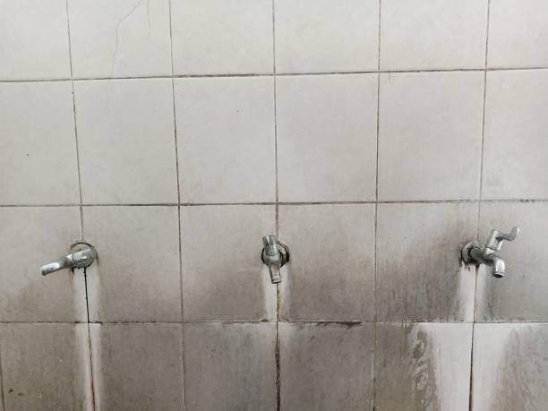 Best Flooded house restoration  in Somersworth, NH