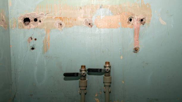 Best Water damage restoration near me  in Somersworth, NH