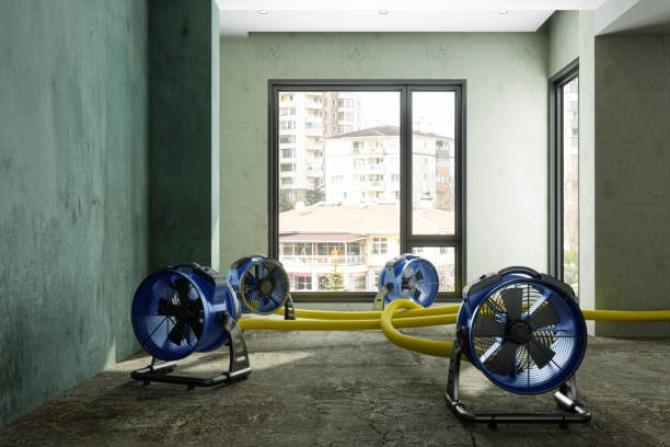 Best Ceiling water damage repair  in Somersworth, NH